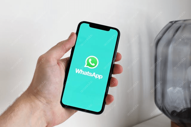 Effective Ways to Unban Your WhatsApp Account