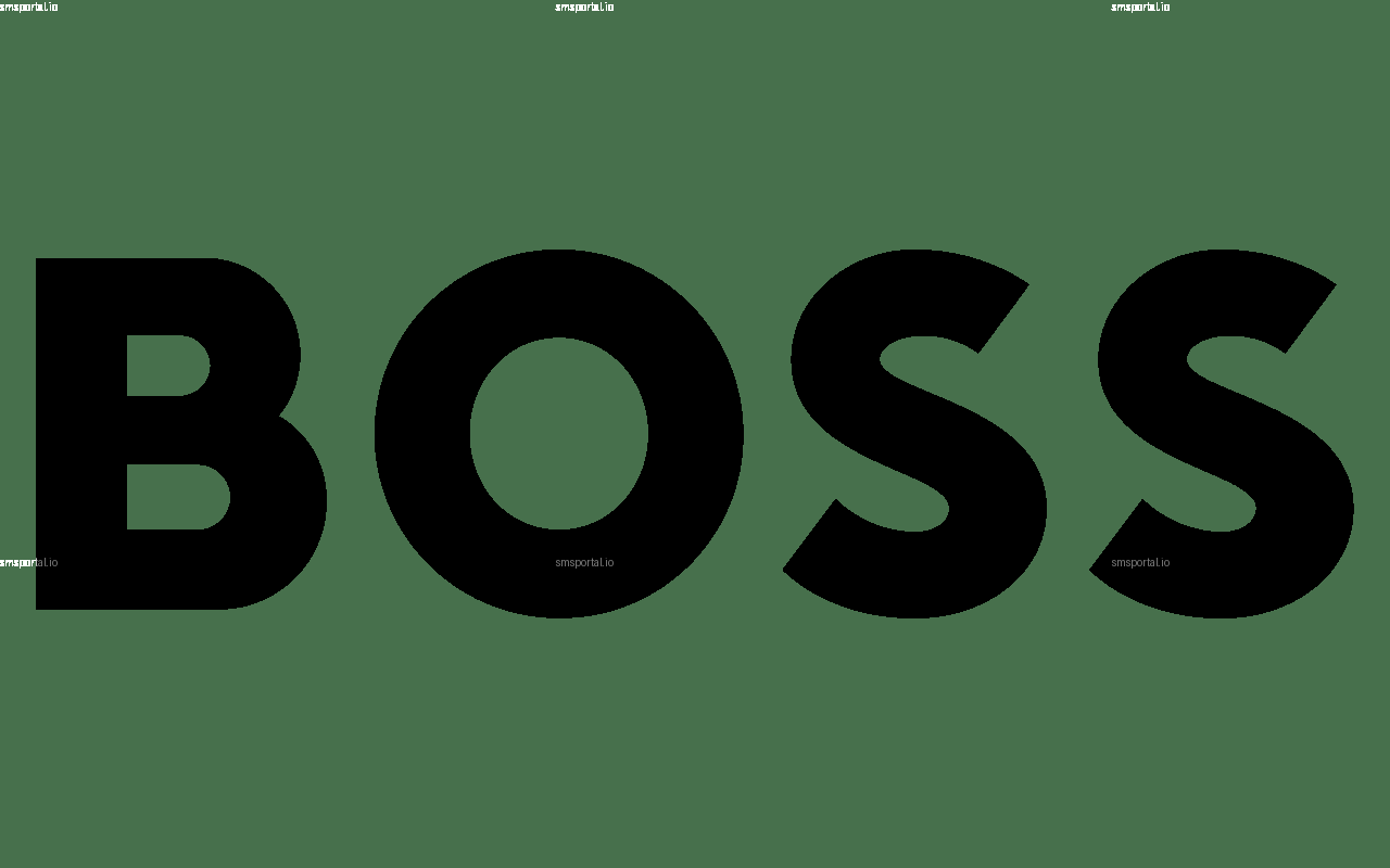 How to Get a Temporary Phone Number from smsportal.io for BOSS