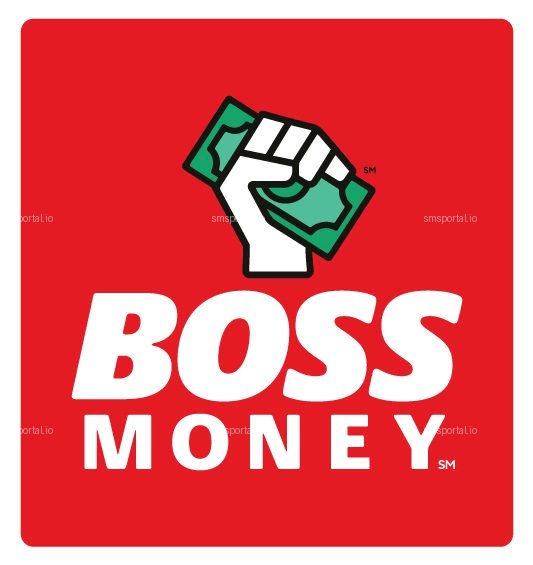 How to Get a Temporary Phone Number from smsportal.io for BOSS Money
