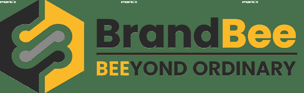 How to Get a Temporary Phone Number from smsportal.io for BrandBee