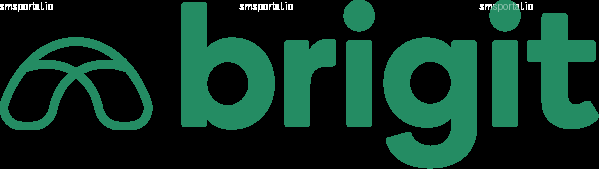 How to Get a Temporary Phone Number from smsportal.io for Brigit